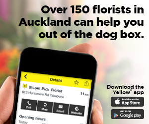 YPGDIG455_YBanners_300x250_3